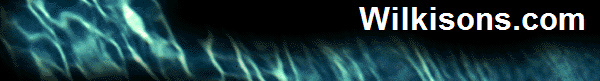 Wilkisons.com 